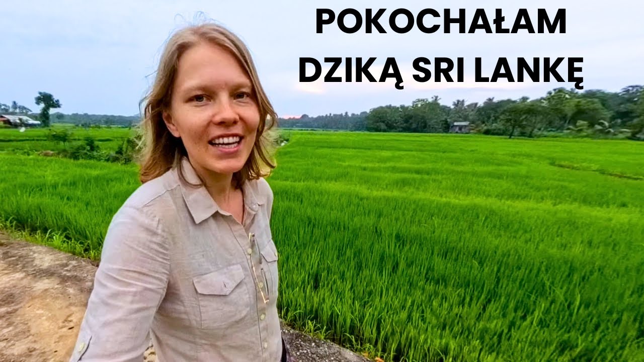 Najtańsze safari na świecie? Ale najpierw cejlońska herbata