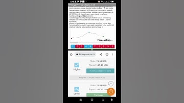 Mobile Analyzer Strategy For Rise and Fall