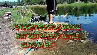 A Quick 24 Hour Trip Payson