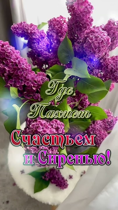 Здравствуй, долгожданный МАЙ! 🙋‍♀️🌸🍃🌸🍃🌸 - YouTube