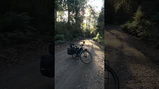 Tassie trail by Tern Orox