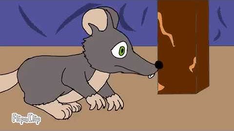 10 fps Animation Test #2