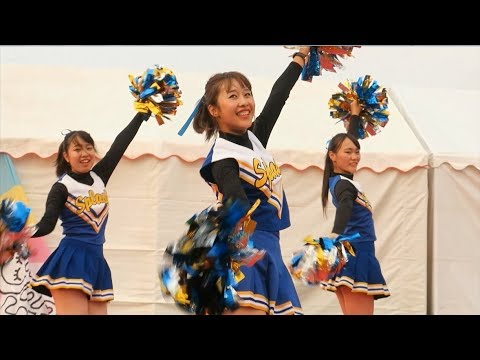 松山大学チアリーダー部@Chushikoku Cheerleader 2019 Summer