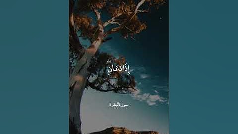 وَإِذَا سَأَلَكَ عِبَادِي عَنِّي    سورة البقرة    محمد أيوب