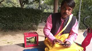 The parrot🐦 predicts the future.India screenshot 4