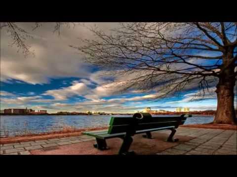   رهی معیری داغ تنهایی
