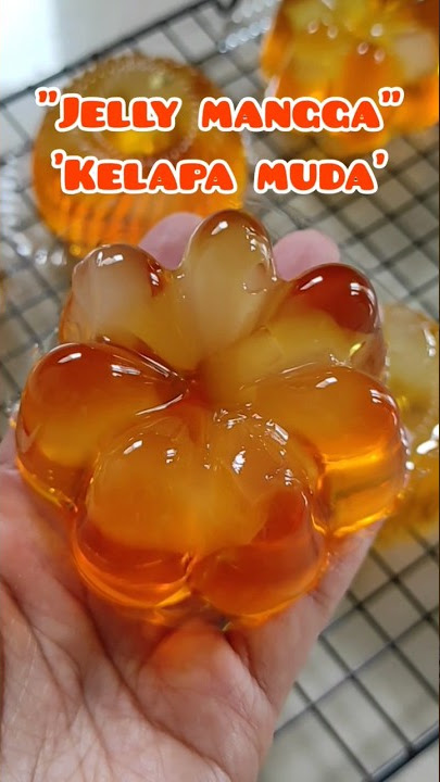 JELLY MANGGA KELAPA MUDA, KREASI NUTRIJEL #shorts #idejualan #pudding #nutrijell