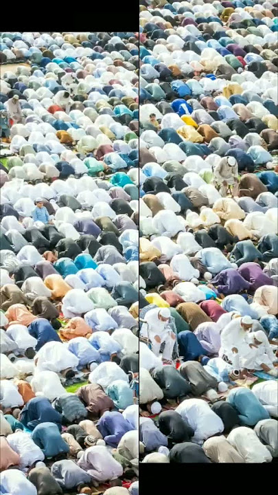 https://vt.tiktok.com/ZSkuFW2Uw/ allah/_/_/