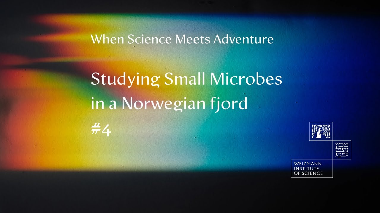 When Science Meets Adventure: Studying Small Microbes in a Norwegian fjord #4