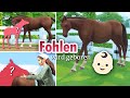 Rrp omg  fohlen geburt  sims 4  pferderanch