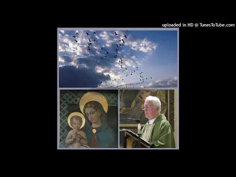 21 giugno 2026 - 12a Domenica del T.O. anno A - Omelia di don Elio Mo
