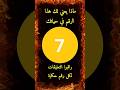 معنى الرقم 7 حكاية الرقم 7 لكل رقم قصص و حكايات معاني الأرقام معنى الرقم 7 حكاية الرقم 7 لكل رقم قصص و حكايات معاني الأرقام