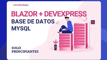 Blazor + Xaf DevExpress para principiantes - Parte 1