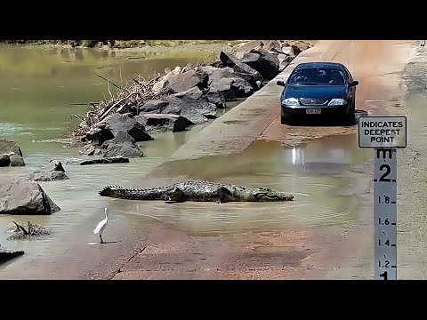 Vídeo: Na Estrada Russa, Um Fantasma Foi Filmado, Que Só é Visível Sob Os Faróis - Visão Alternativa