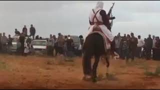 الخيل ليبيا