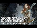 Gloom Stalker Ranger Guide for Dungeons and Dragons 5e