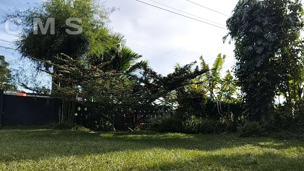 Study Work Music || Distraction Free Tropical Ambient