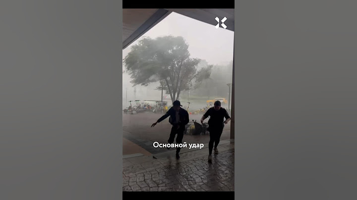 Ураган в Москве: дерево прилетело в квартиру