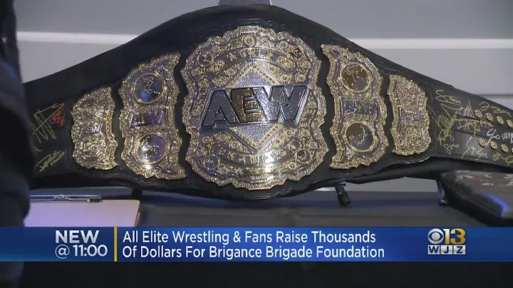 Professional Wrestlers Help Raise More Than $8,000...