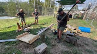 The Animal Care Staff Recently Gave Selbit Leopards Ramp System A Makeover.