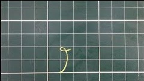 Bài 2: Hướng dẫn cách viết nét thắt trên.