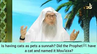 Did Prophet have a cat named Muezza? Is having cats as pets a sunnah?  Assim al hakeem