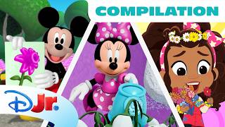 all things flowers disney jr compilation ft megan cupcake