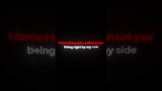 Red Lights Sstraykidshyunjinbangchanredlights