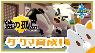 【ポケットモンスターソード】画面酔いぬいぐるみは冒険する！#11