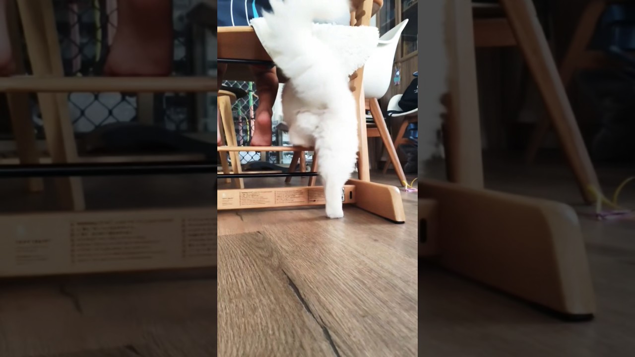 Hanging out with the boys 🧒🐱 