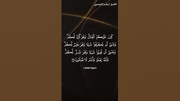 سورة البقرة الآية 216 القارئ ياسر الدوسري
