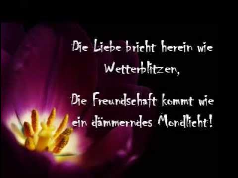 Sprüche, die die Augen öffnen! YouTube