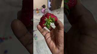 Big 🍓strawberry #hyderabad #fruit #strawberry