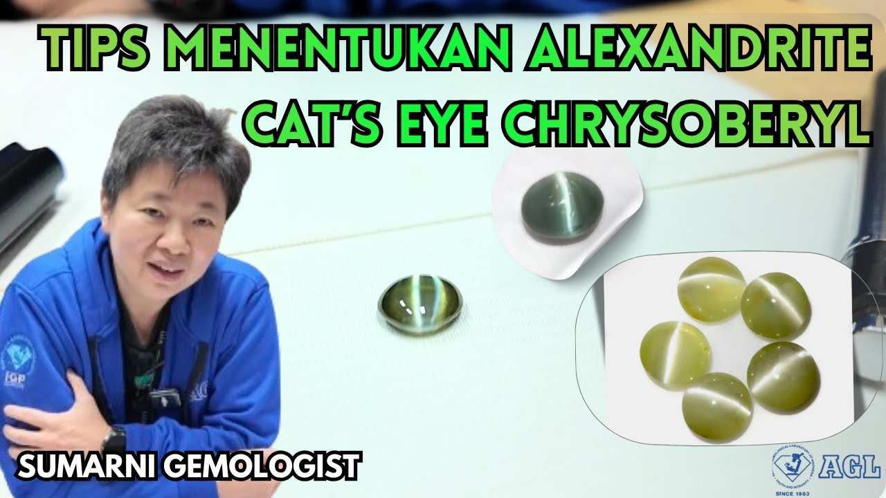 CARA MENENTUKAN BATU ALEXANDRITE CAT’S EYE CHRYSOBERYL