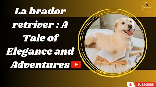 Labrador retriver chronicle :Adventures in wagging tails by Animals World 4k 61 views 11 months ago 17 minutes