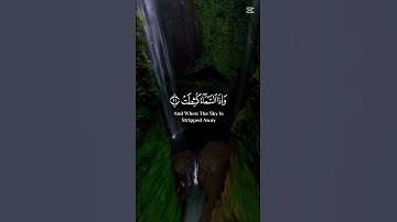سورة التكوير القران الكريم بصوت جميل #القرآن_الكريم #اكسبلور #المصحف #لايك