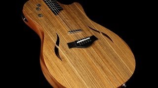 Taylor T5-X guitar - YouTube
