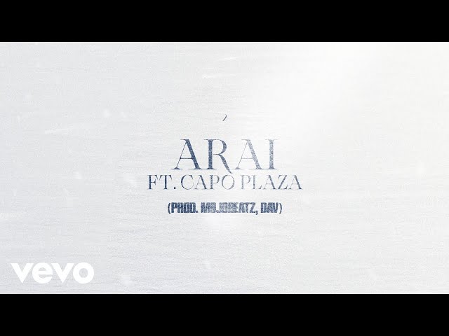 Medy feat. Capo Plaza - Arai (Visualizer)