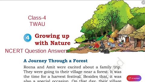 Question Answers ONLY / Growing up with Nature /Class-4 TWAU Chapter-4 NCERT Solution By-KV Teacher 
