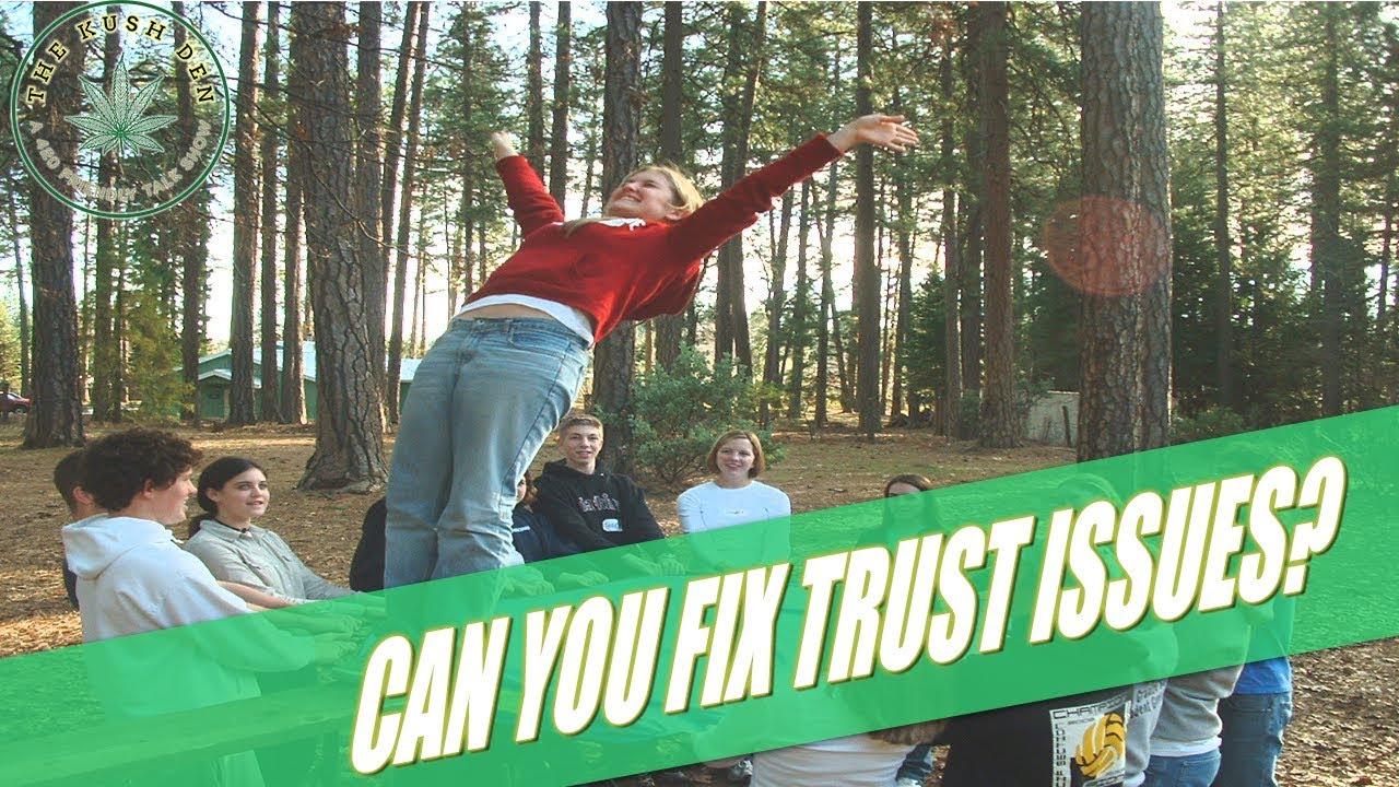 Can You Fix Trust Issues?