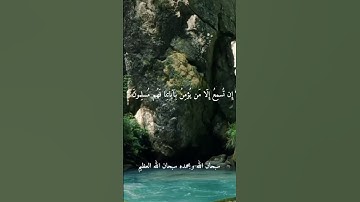 الشيخ حمدي الزامل-- نوادر روعه. رحمه الله #تلاوات