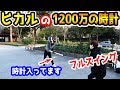 ヒカルの1200万の時計をバットでフルスイングしてみた結果【Raphael】