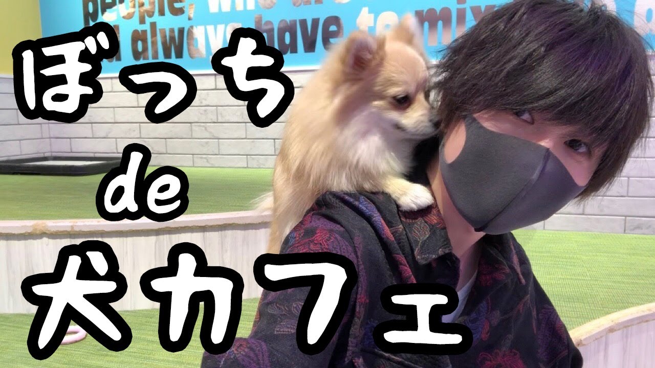 ぼっちvlog ひとりで原宿の犬カフェ行ったらイッヌに襲われたw 奇跡 Youtube