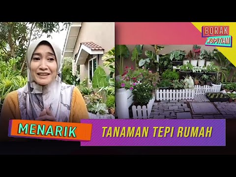 Menarik: Tanaman Tepi