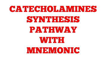 Catecholamines || Their Synthesis Pathway with Mnemonic || Epinephrine || #Biochemistry