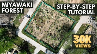 How To Create A MIYAWAKI FOREST | Stepbystep NANAK BAGICHI Tutorial