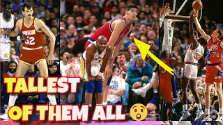 Tallest NBA Players Of All Time [top 15]