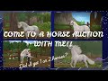 Going to a horse auction! Did I buy 1 horse or 2!! |:|SSO RRP|:|