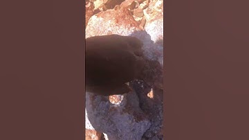 Lithium  Li in TANZANIA welcome for bussines 0654001733