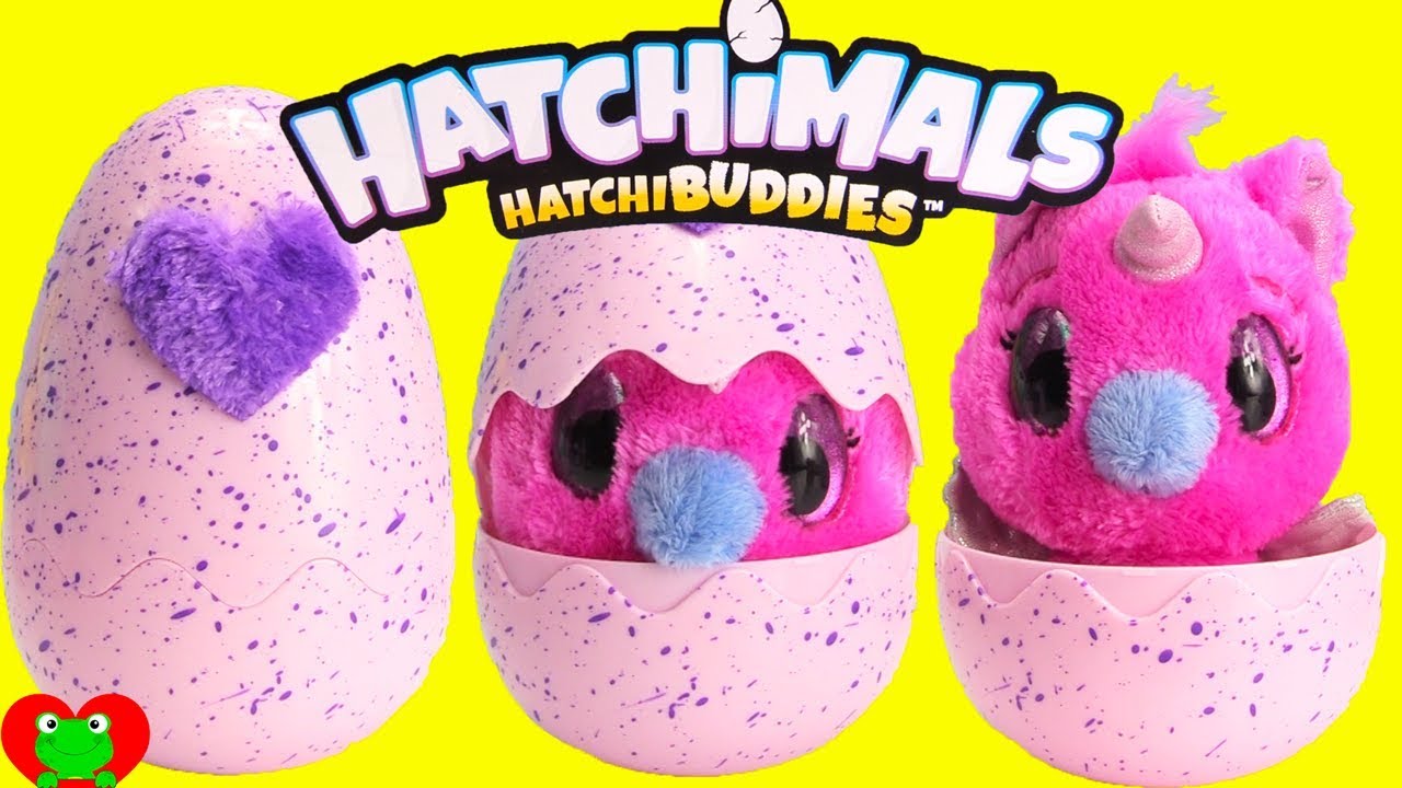 Genie Opens Hatchimals Hatchi Buddies 
